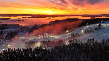 Bild för: Förmiddag